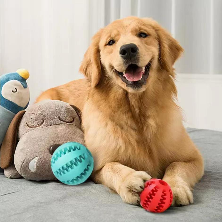 Dog Treat Dispensing Balls