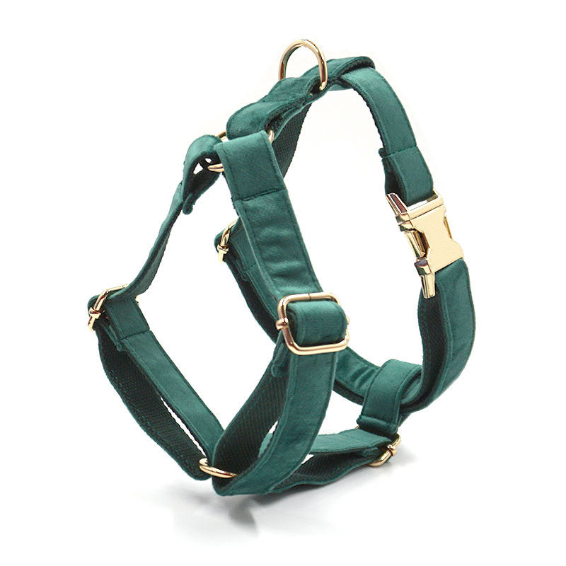 Velvet Dog Collar/Leash & Accessories