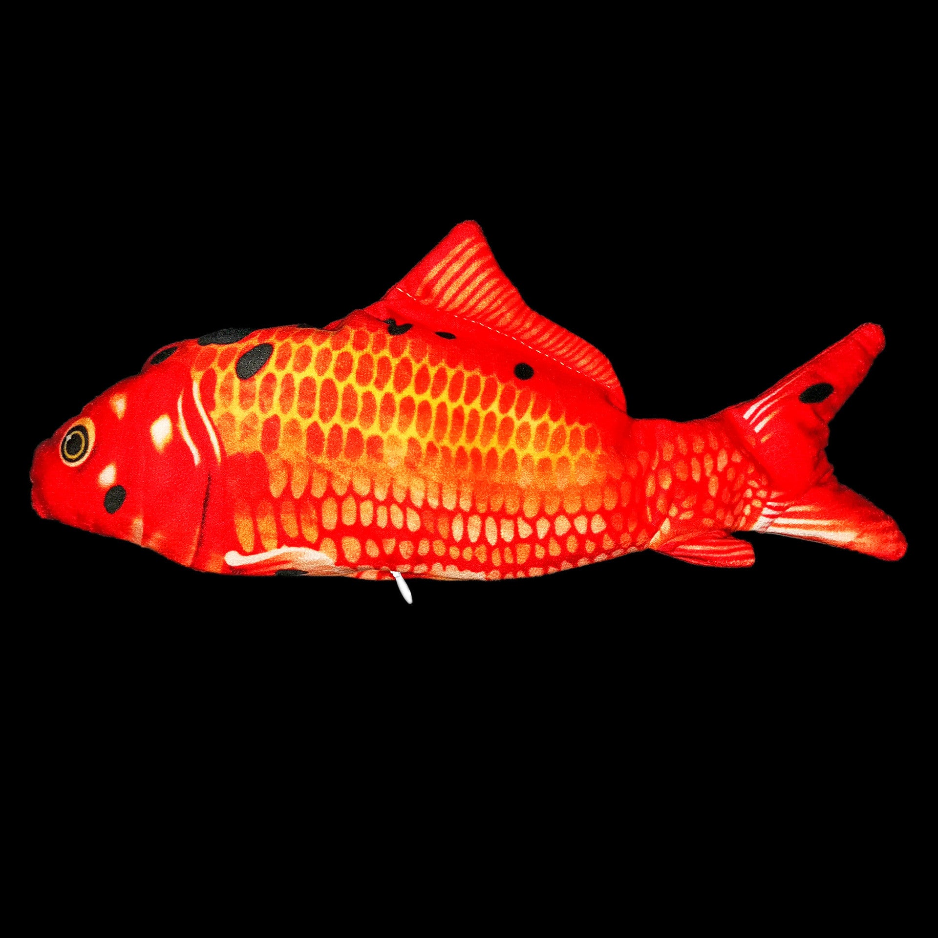 Electric Jumping Fish for Cats