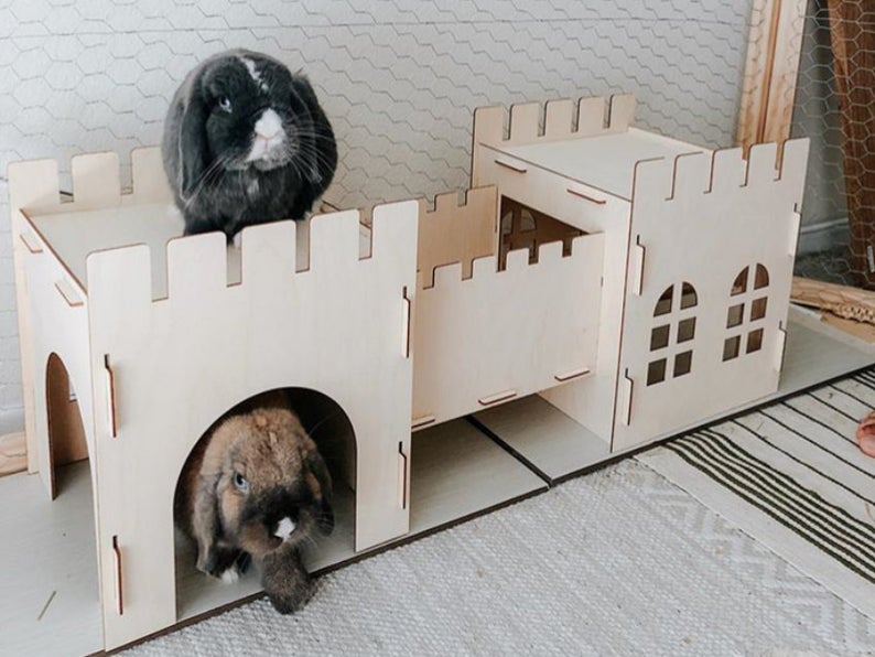 Wooden House for Small Critters