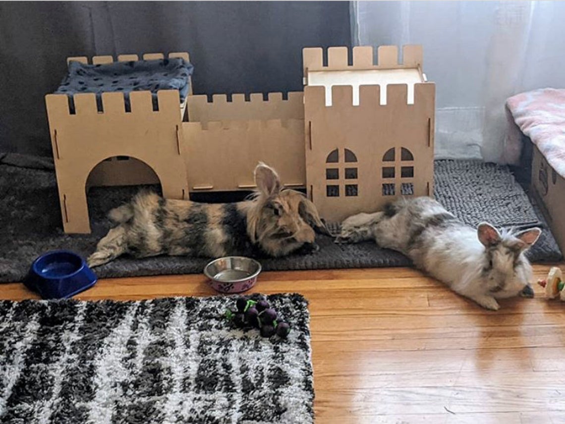 Wooden House for Small Critters
