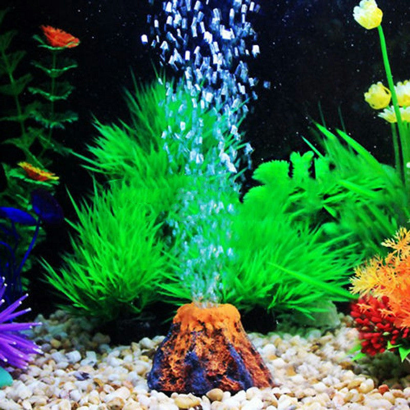 Fish Tank Landscaping