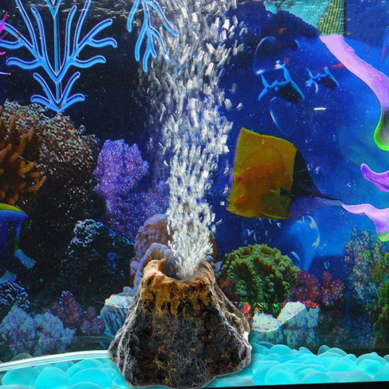 Fish Tank Landscaping