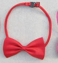 1 piece Adjustable Dog Cat bow tie neck tie pet dog bow tie puppy bows pet bow tie different colors supply