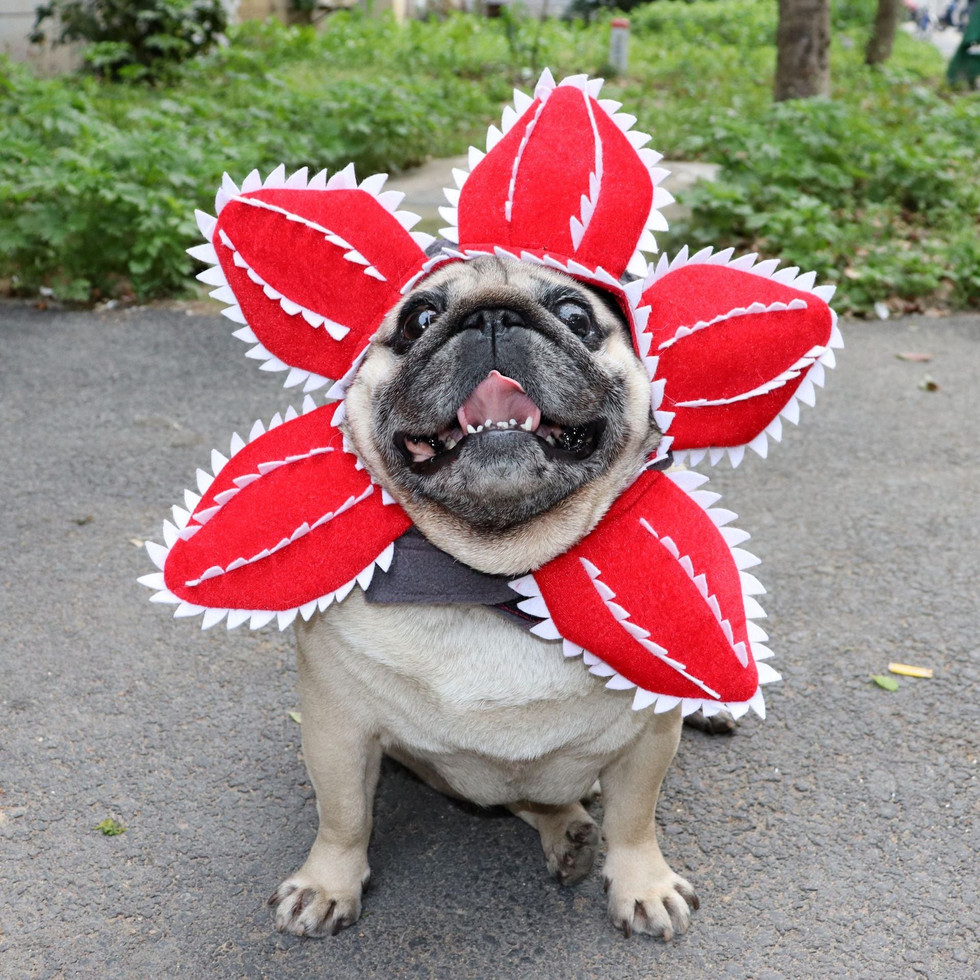 Cat Funny Cannibal Flower Headgear