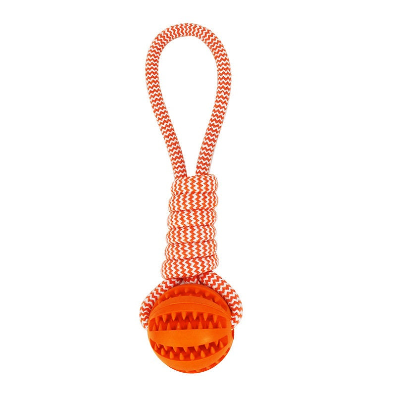 Dog Treat Dispensing Balls