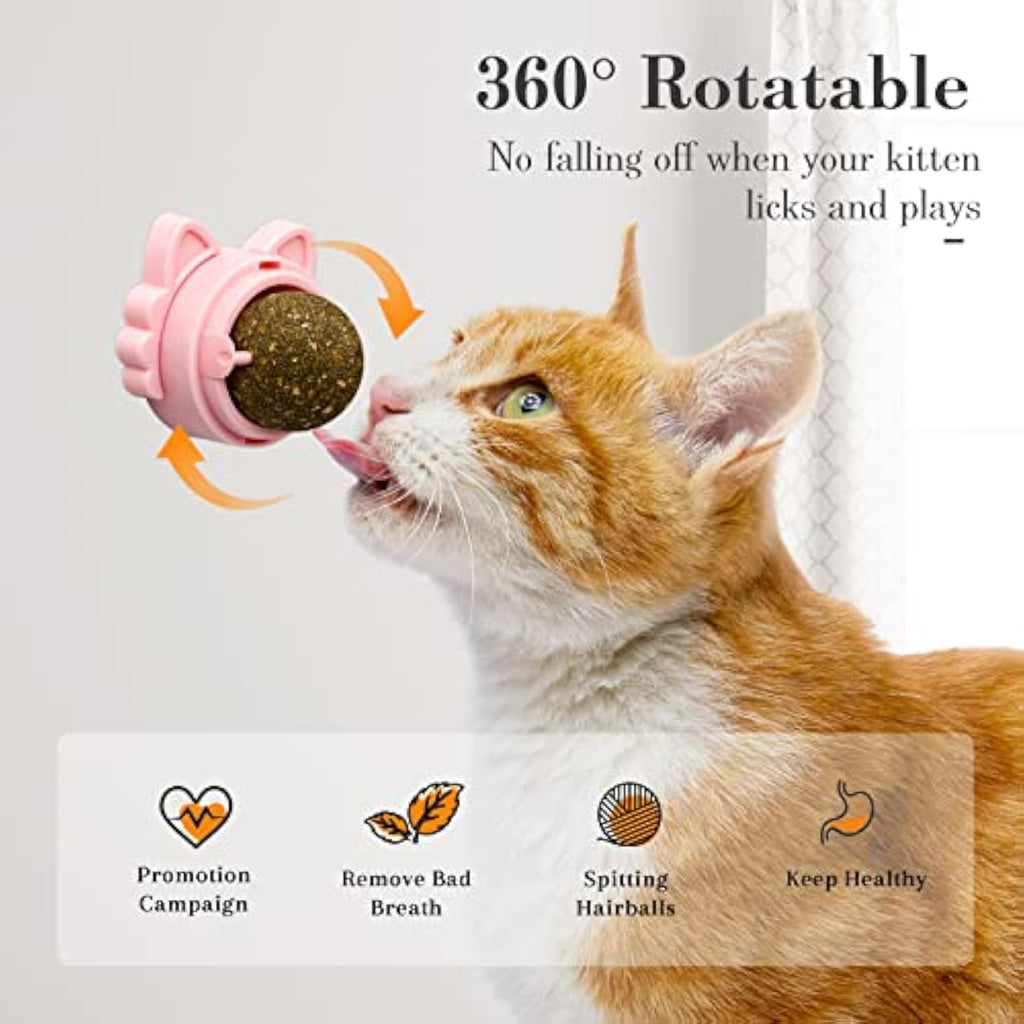 Catnip Treats That Stick On Wall