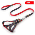 Pipitao Dog Leash Set