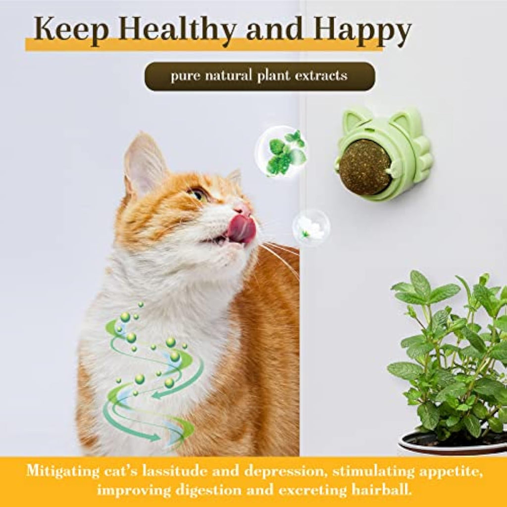 Catnip Treats That Stick On Wall