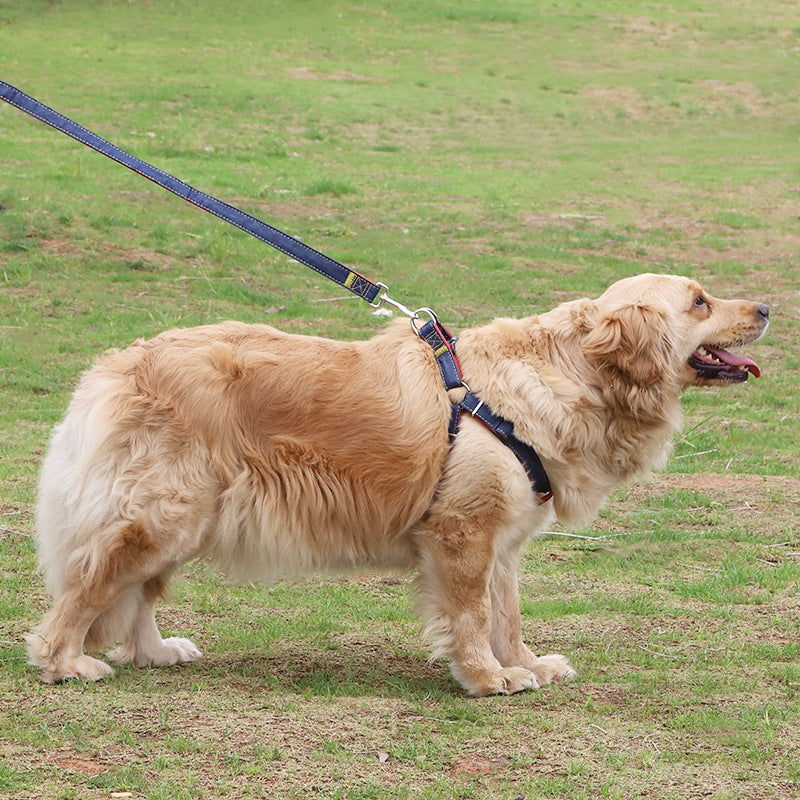 Pipitao Dog Leash Set