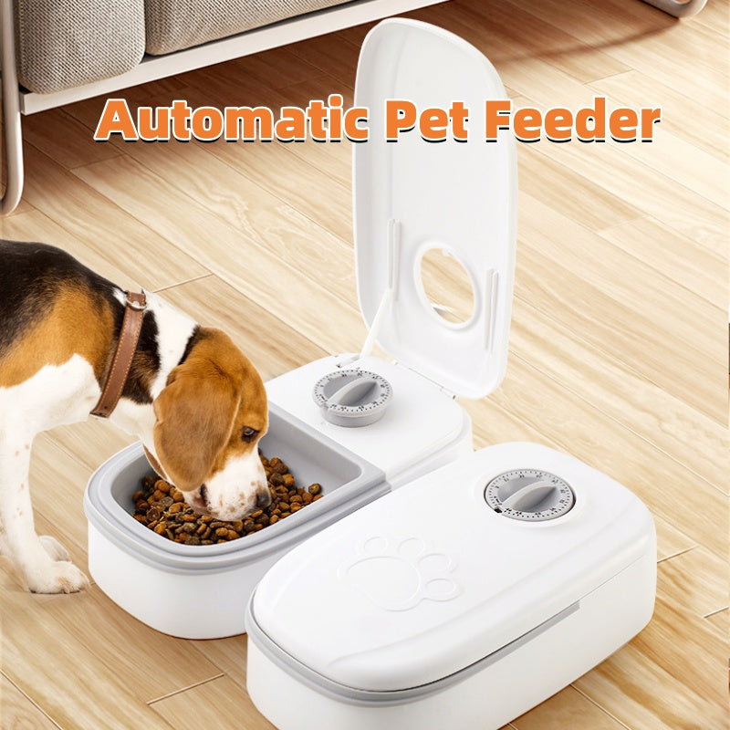 Automatic Pet Feeder for Cats and Dogs