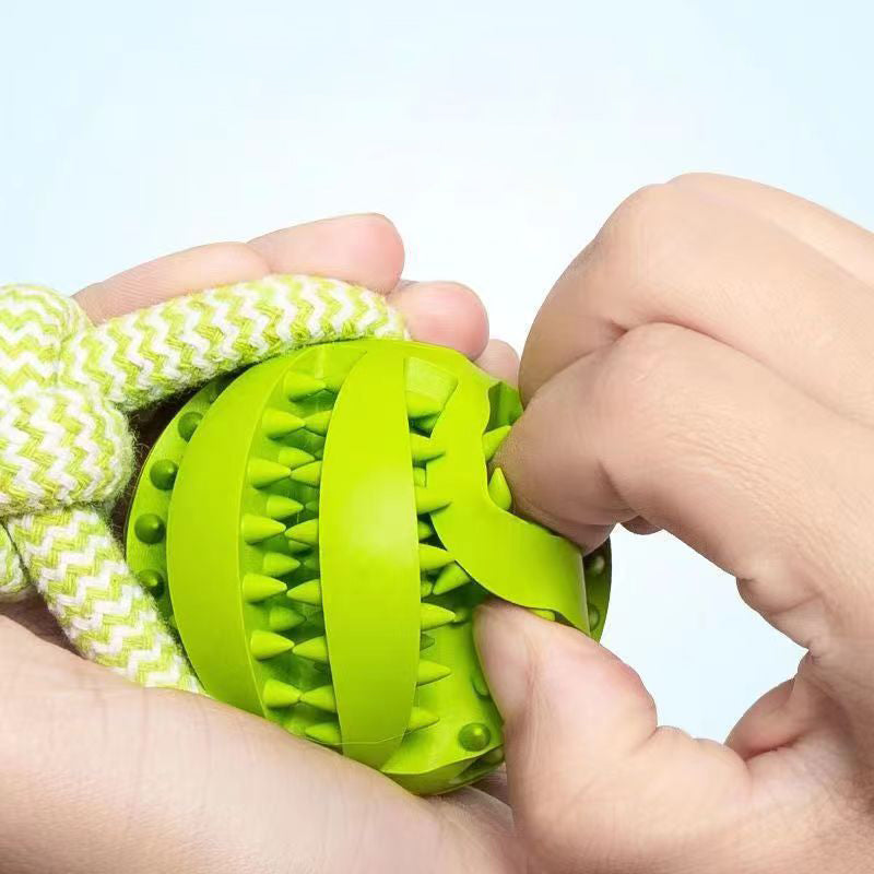 Dog Treat Dispensing Balls