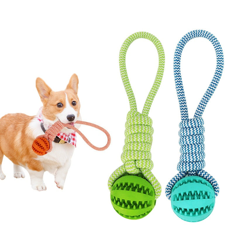 Dog Treat Dispensing Balls