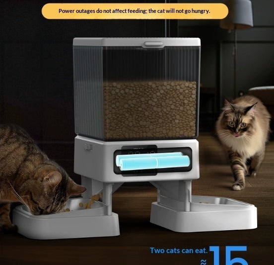 Automatic Cat Feeder With Dual Bowls