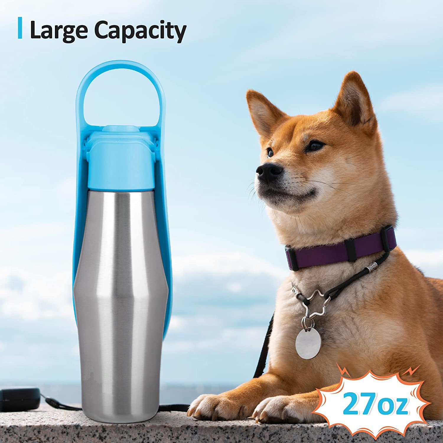 Portable Water Bottle