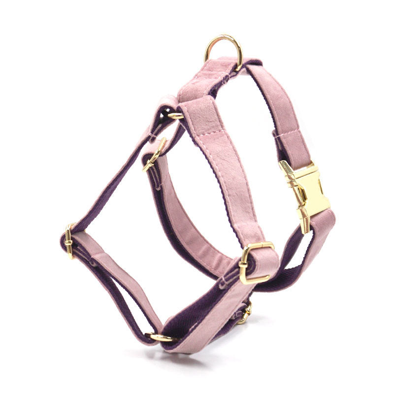 Velvet Dog Collar/Leash & Accessories
