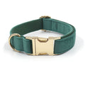 Velvet Dog Collar/Leash & Accessories
